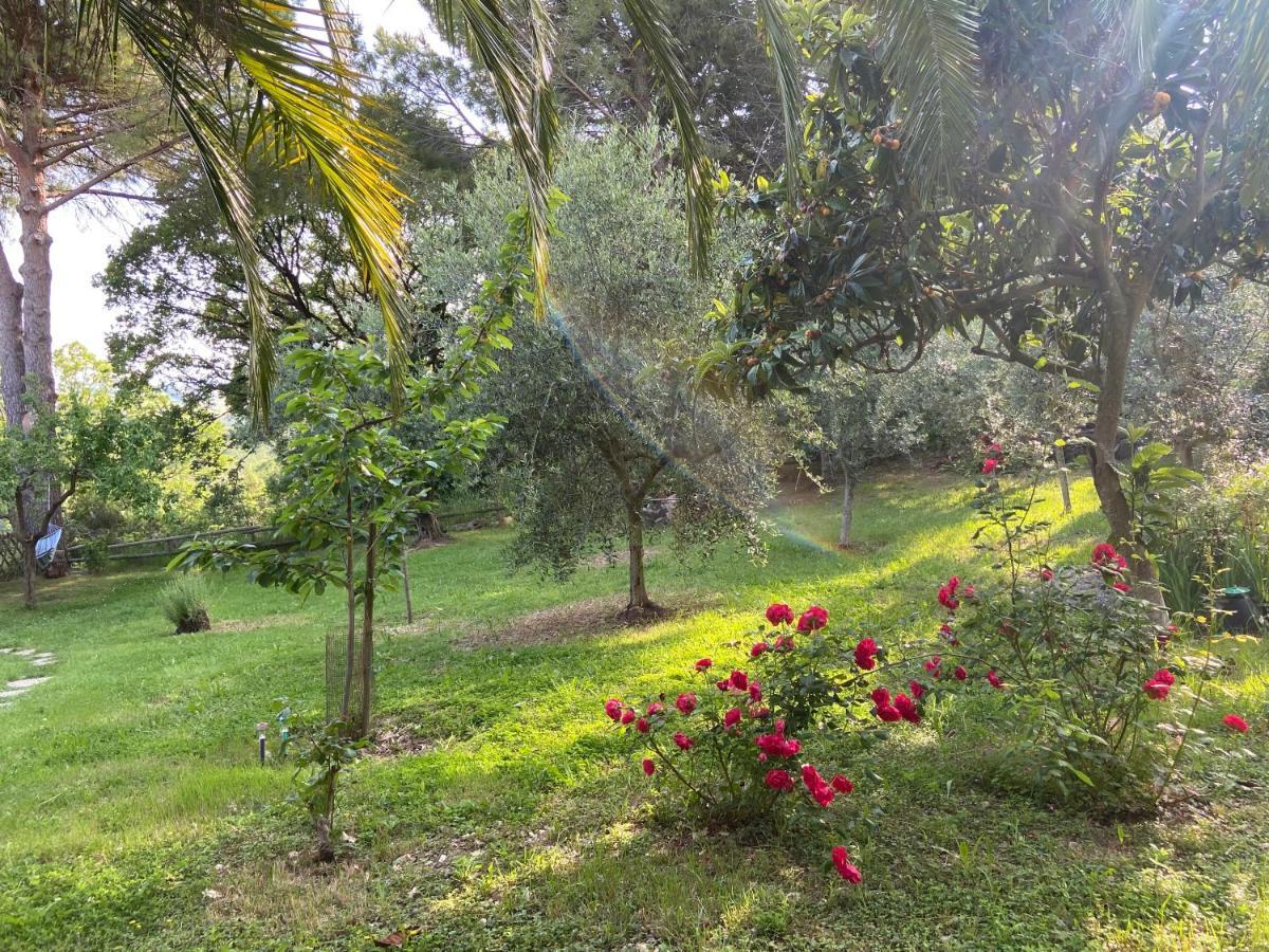 קסטלינה מריטימה Villa Antonella מראה חיצוני תמונה