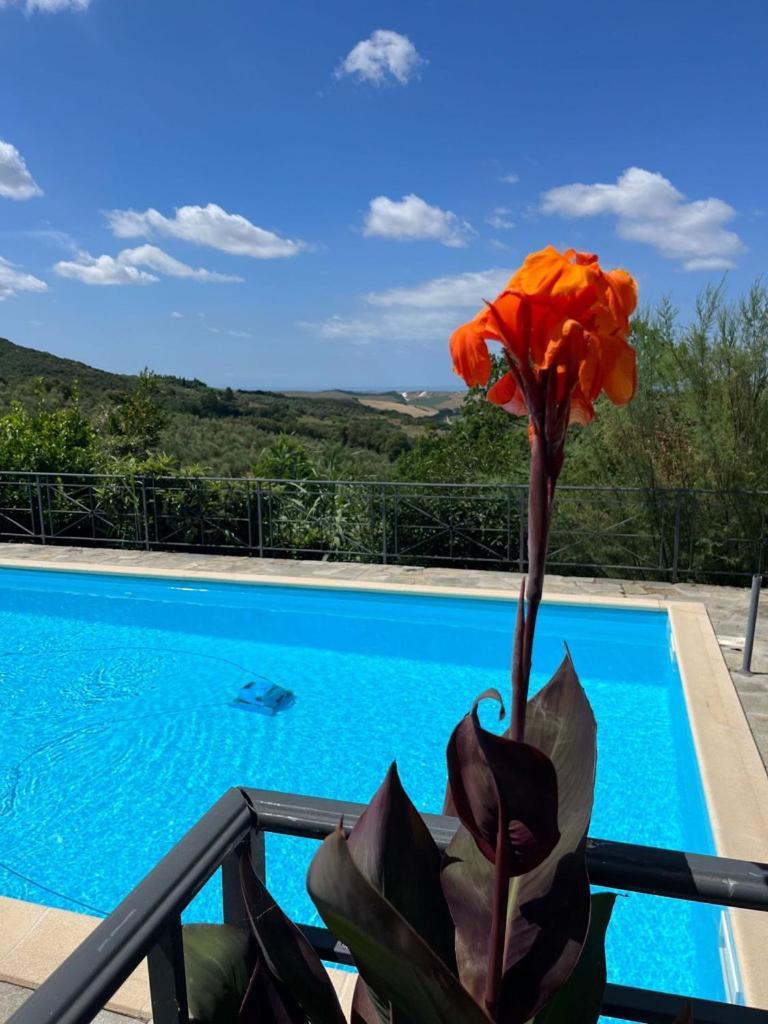 קסטלינה מריטימה Villa Antonella מראה חיצוני תמונה